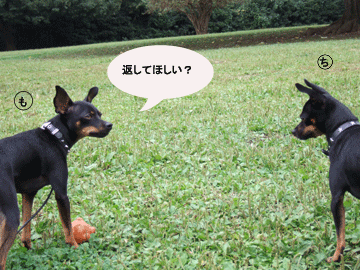 c0012571_14143914.gif