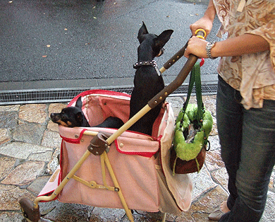 c0012571_14152012.gif