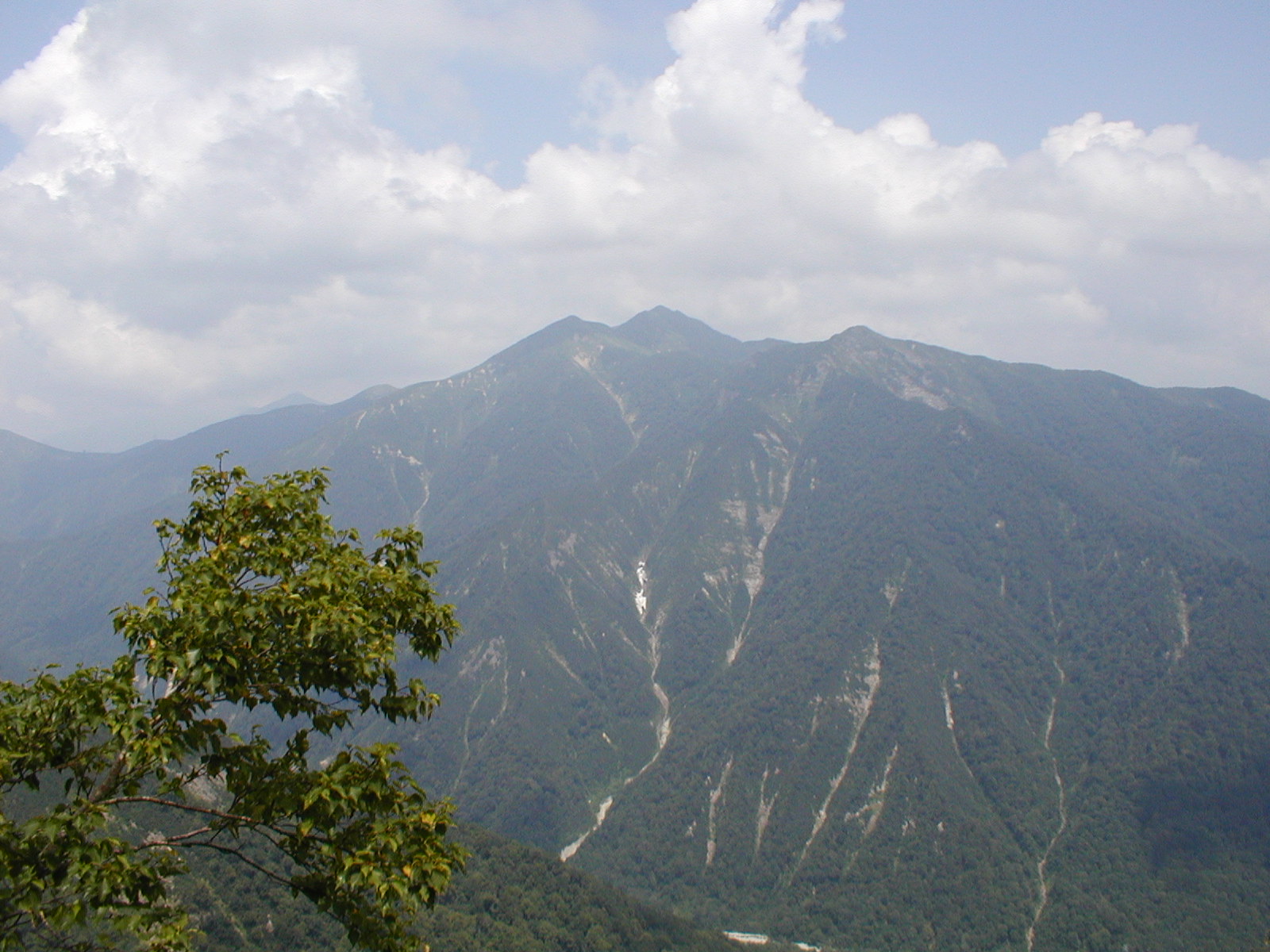 a0094280_2227116.jpg