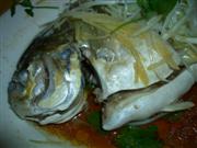 f0089386_1952956.jpg