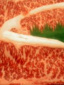c0073987_6544114.jpg