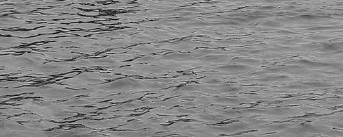 b0029488_1010733.jpg