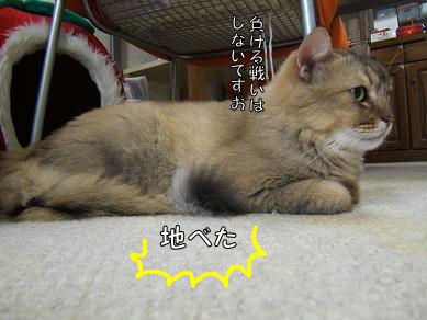 a0045990_146439.jpg