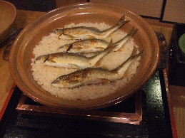 a0007906_1004026.jpg