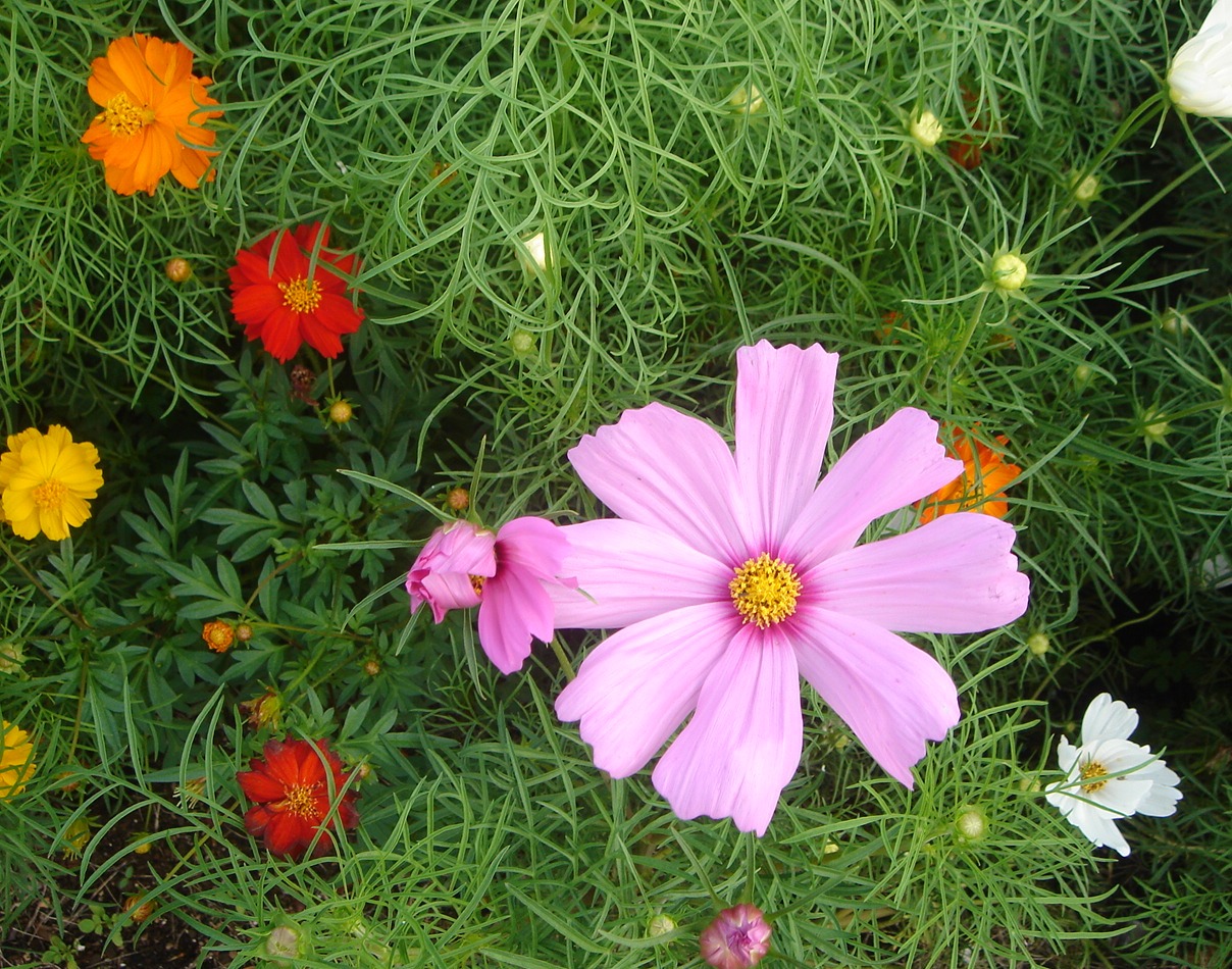 c0041207_14472823.jpg