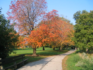 f0102814_12551744.jpg