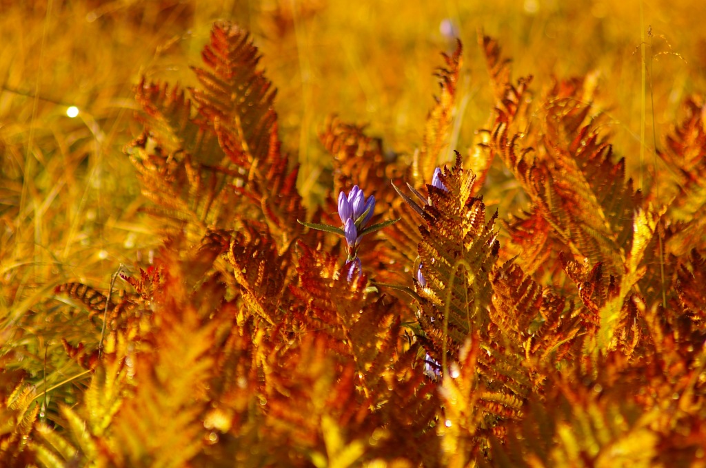 b0062024_1856579.jpg