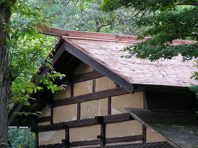 d0004728_1228775.jpg