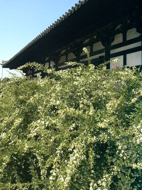 c0073633_22492292.jpg