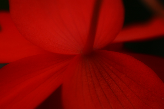 b0063234_21522834.jpg