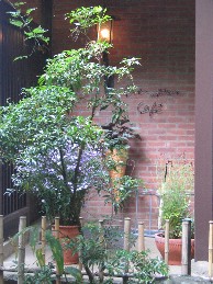 b0057839_21122688.jpg