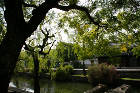 e0086642_17471872.jpg