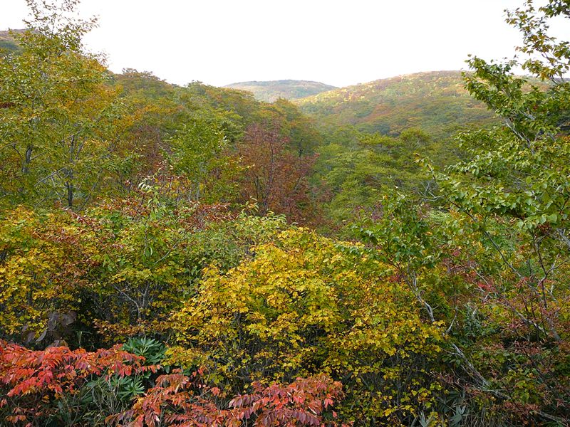 c0081645_073253.jpg