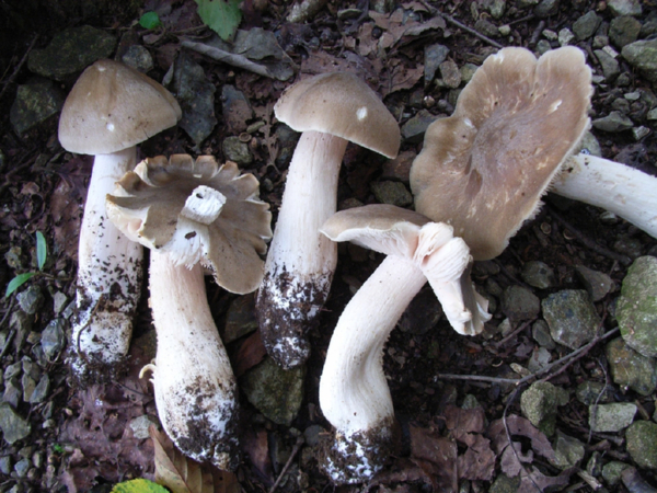 c0055946_723476.jpg