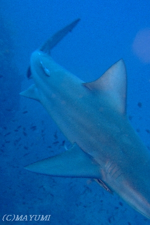 e0027447_2124772.jpg