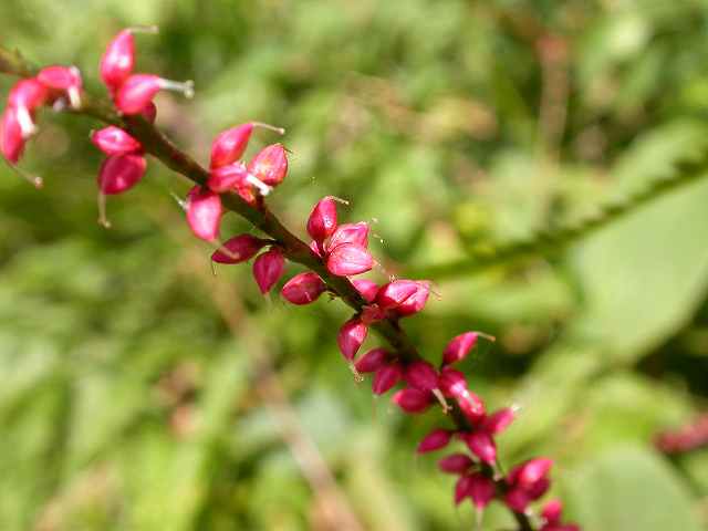 b0104861_20402794.jpg