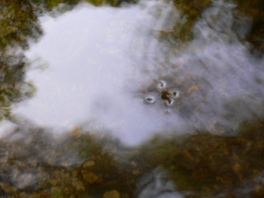 a0063364_23264064.jpg