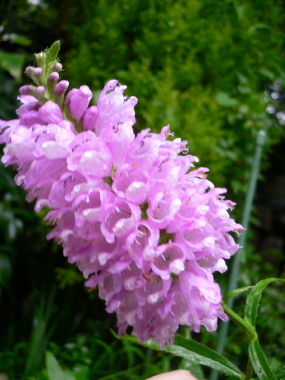 a0063364_2332585.jpg