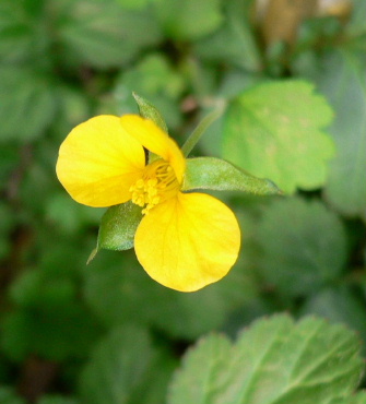 a0063364_23444013.jpg