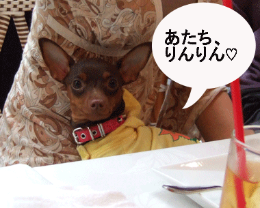 c0012571_13512211.gif