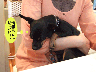 c0012571_1354971.gif