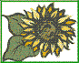 f0003174_15322121.gif