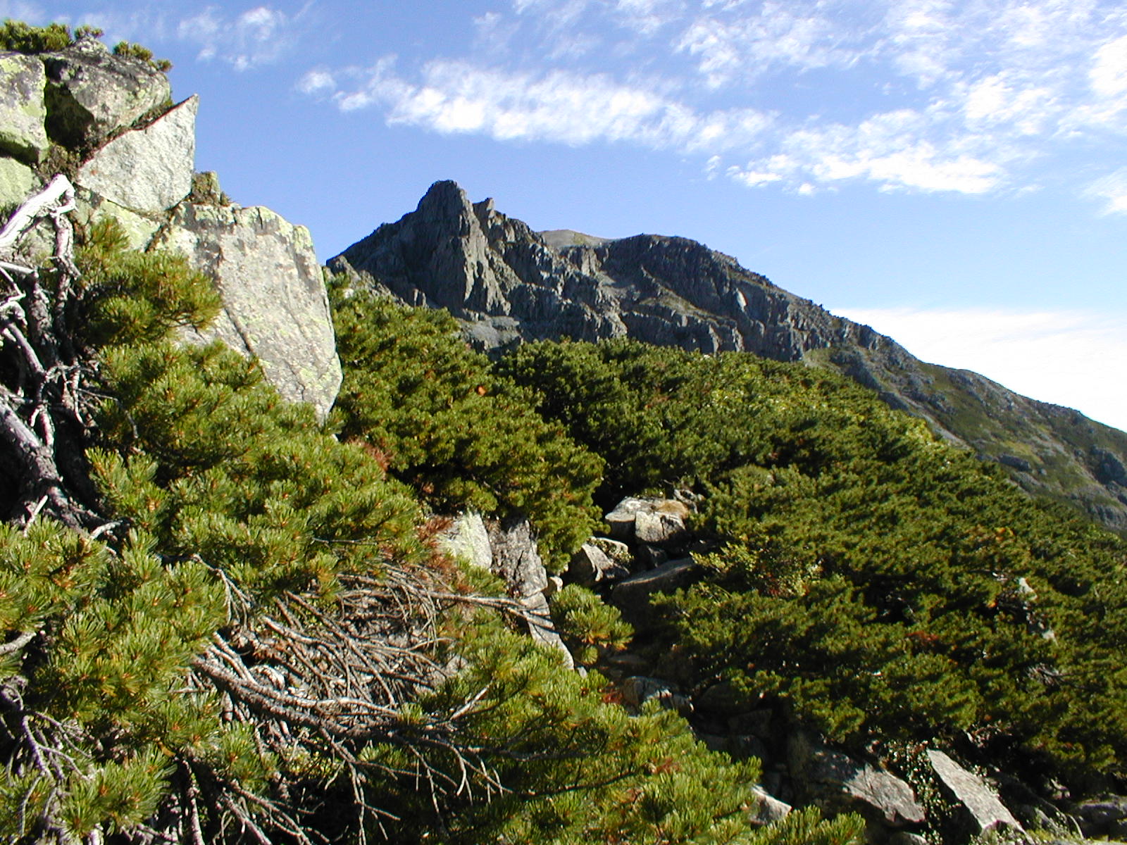 a0094280_2343045.jpg