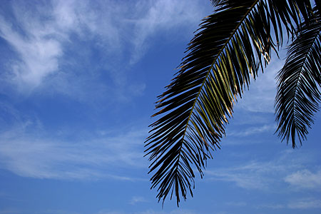 b0049180_23245523.jpg