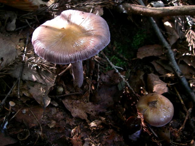 a0066081_011274.jpg