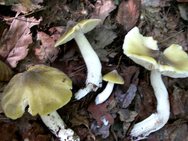 a0066081_02107.jpg
