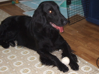 d0070289_2030810.jpg