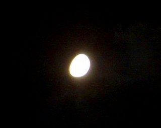 c0033992_1075268.jpg