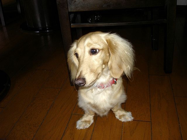 c0087001_2350134.jpg