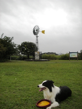 f0034602_18114043.jpg