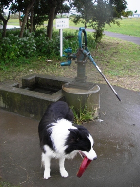 f0034602_18123981.jpg