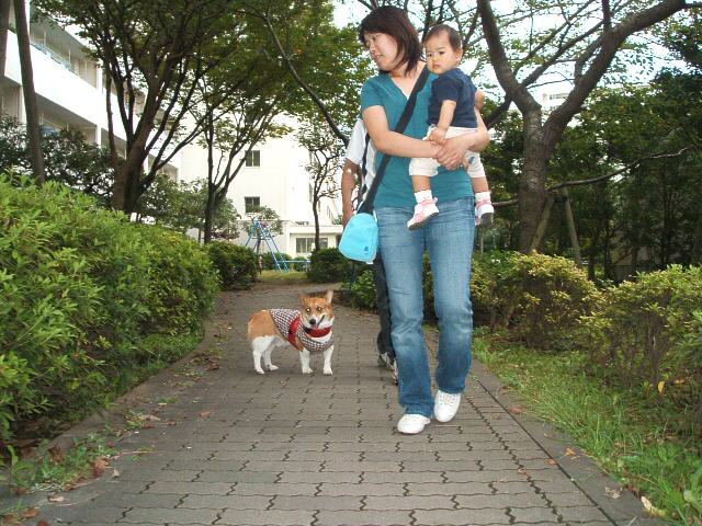 a0024004_2319337.jpg