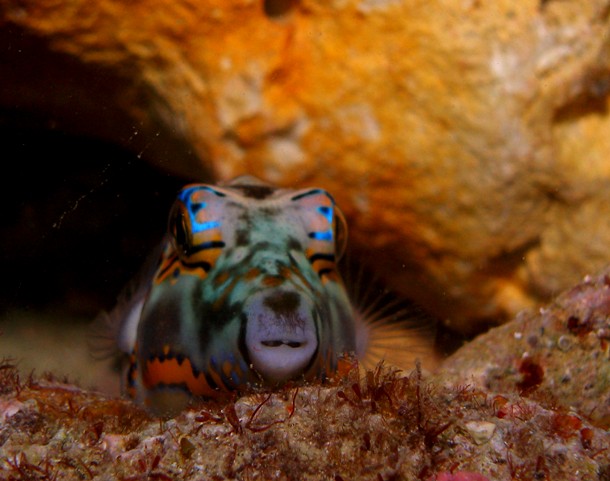 a0082706_2340388.jpg