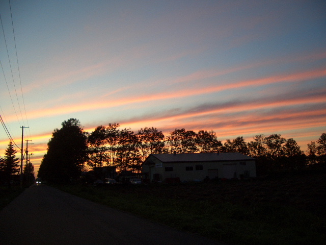 d0050007_22362983.jpg