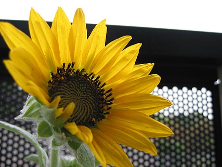 a0041508_2113240.jpg