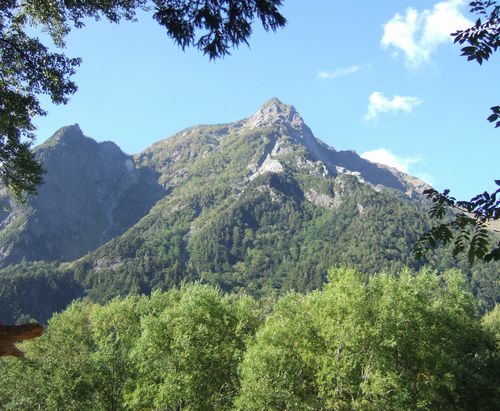 c0073016_2328145.jpg