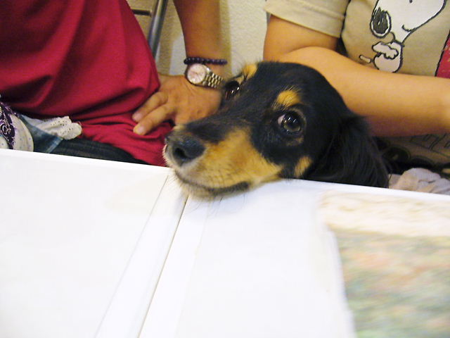 f0079723_1403084.jpg