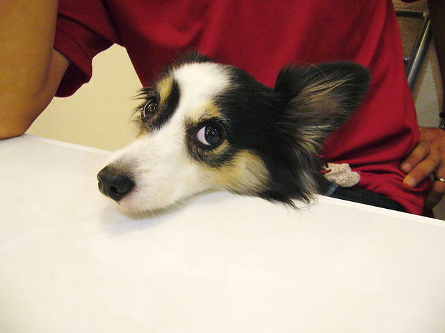 f0079723_1411898.jpg