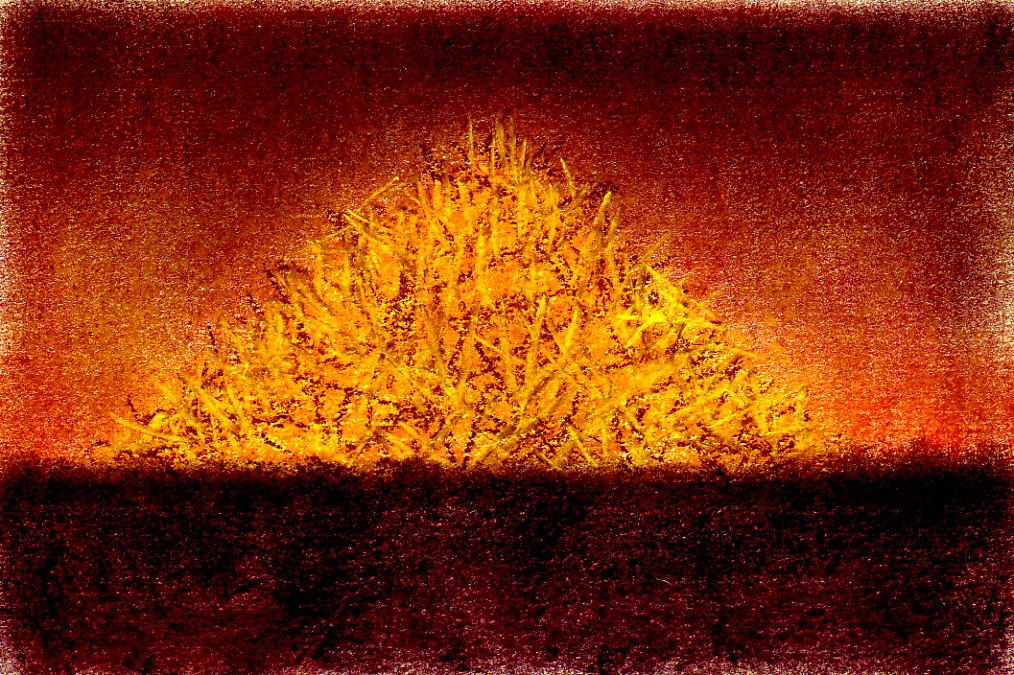 f0015226_20401881.jpg