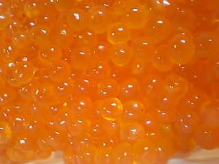 f0083726_102428.jpg
