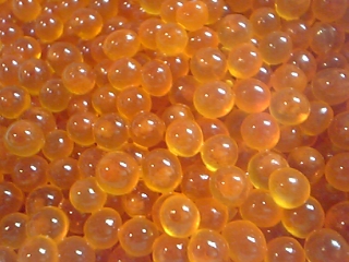 f0083726_10492165.jpg