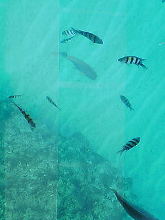 a0033438_16592722.jpg
