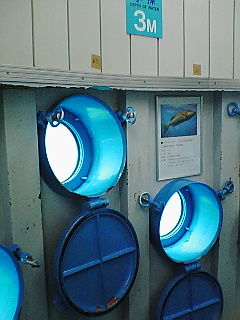 a0033438_16592734.jpg