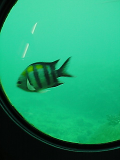 a0033438_16592877.jpg