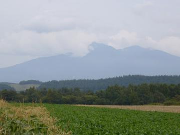 f0065941_1626239.jpg