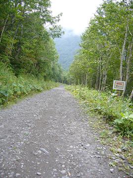 f0065941_1656439.jpg